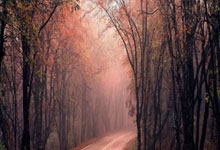 托特纳姆热刺新援表现低迷，备受批评