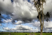 托特纳姆热刺新援表现低迷,备受批评