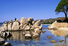 托特纳姆热刺新援表现低迷，备受批评