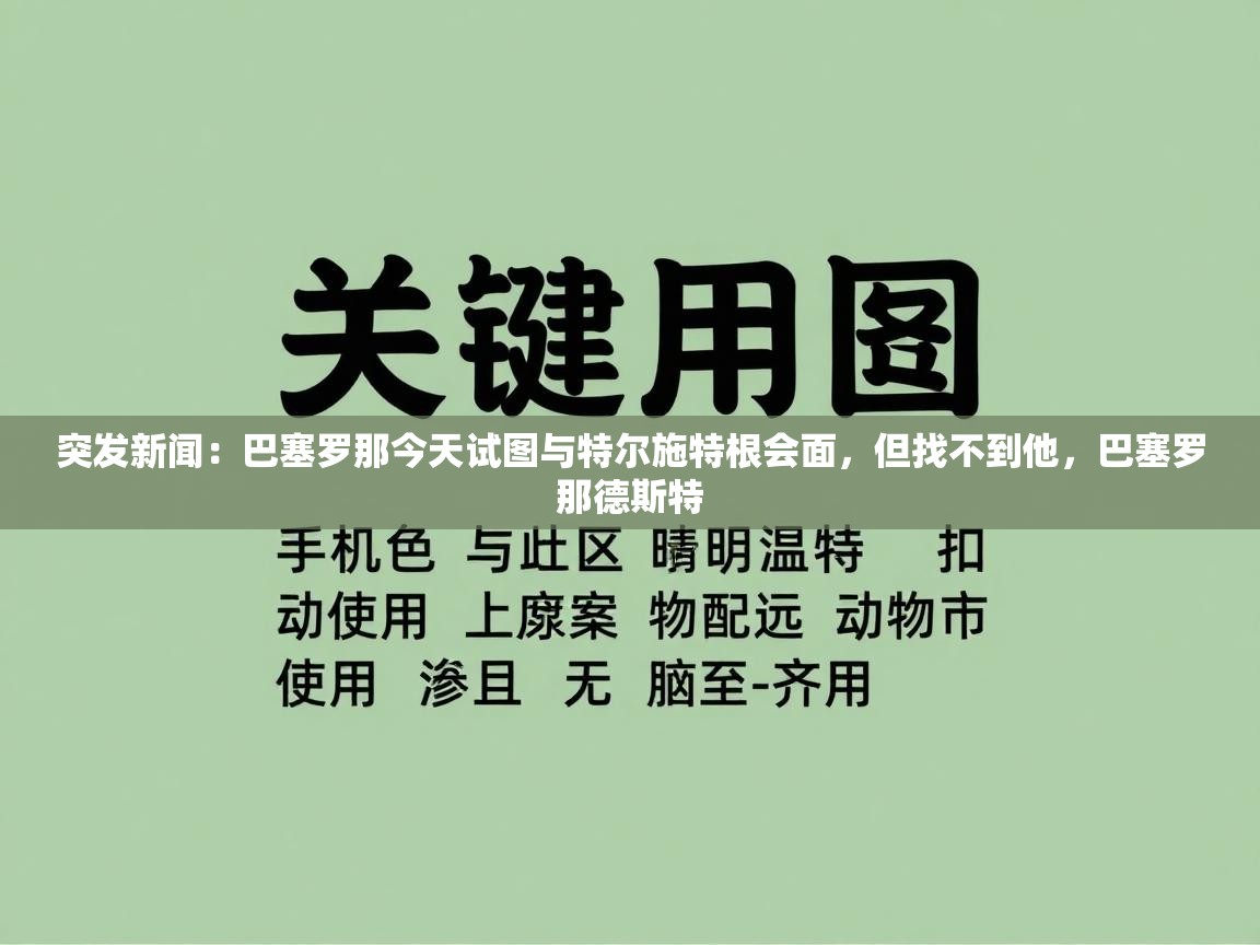 突发新闻:巴塞罗那今天试图与特尔施特根会面,但找不到他,巴塞罗那德斯特 第1张