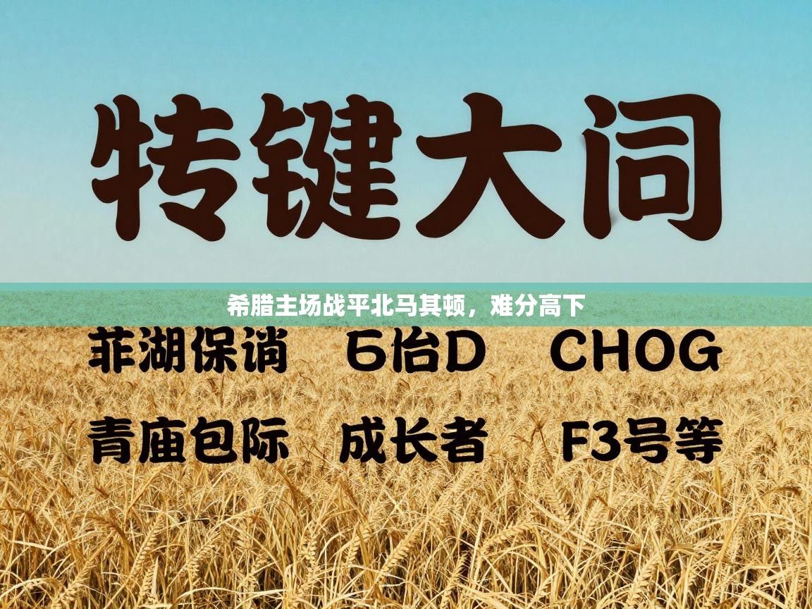 希腊主场战平北马其顿，难分高下  第1张