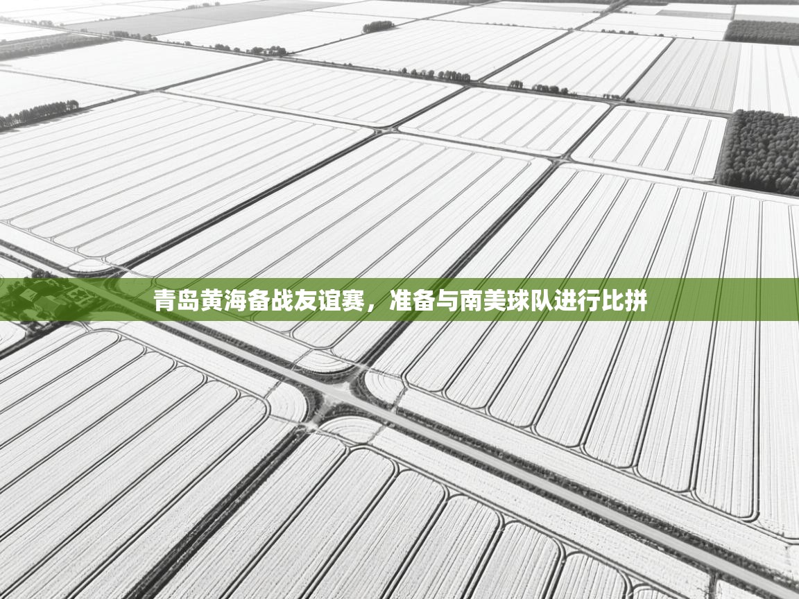 青岛黄海备战友谊赛，准备与南美球队进行比拼  第2张