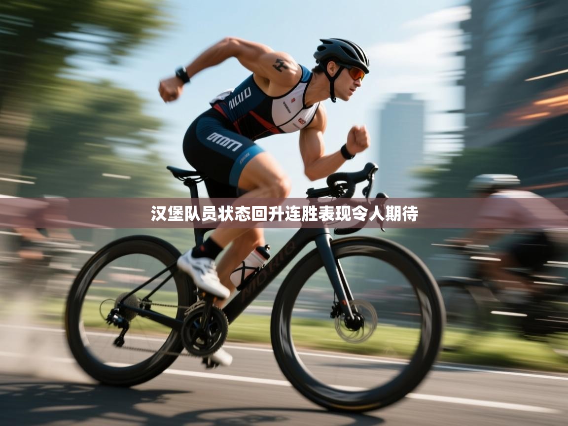 汉堡队员状态回升连胜表现令人期待 第1张