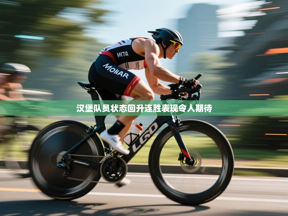 汉堡队员状态回升连胜表现令人期待 第2张