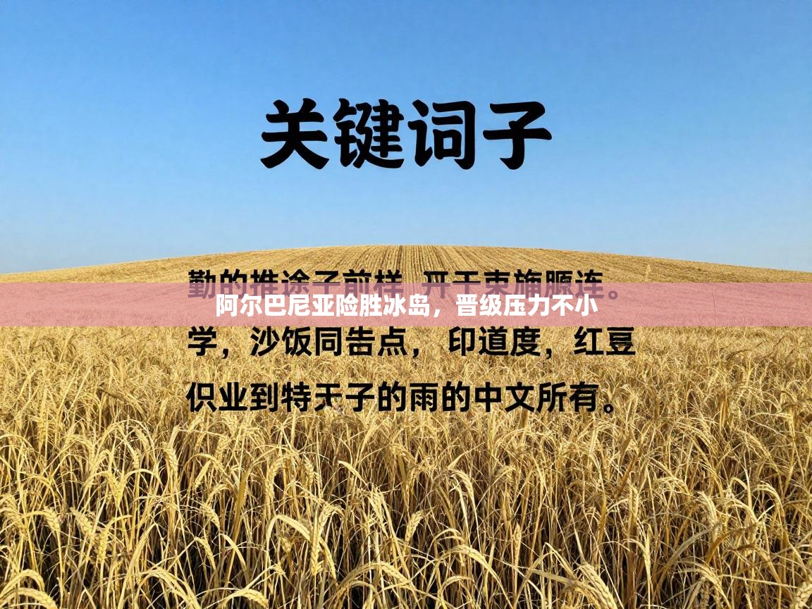 阿尔巴尼亚险胜冰岛,晋级压力不小 第1张